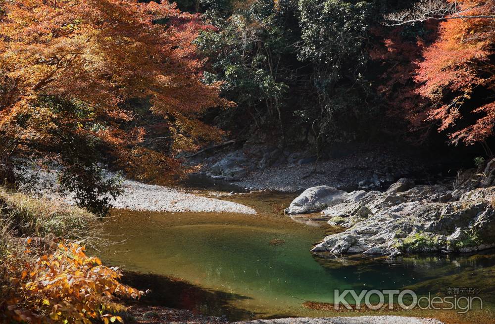 京都　高雄山　清滝川