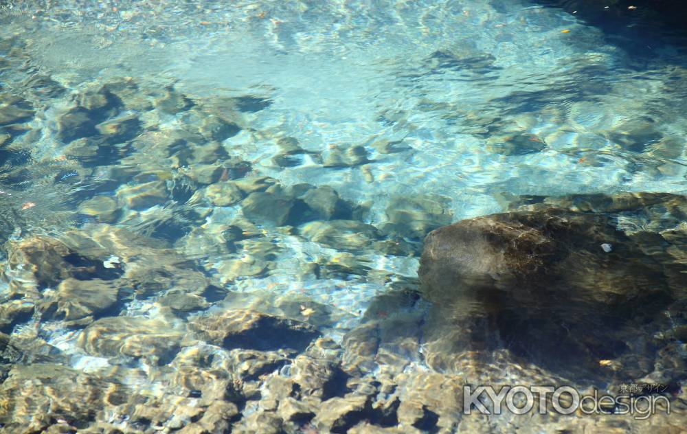京都　清流　清滝川　源流イメージ