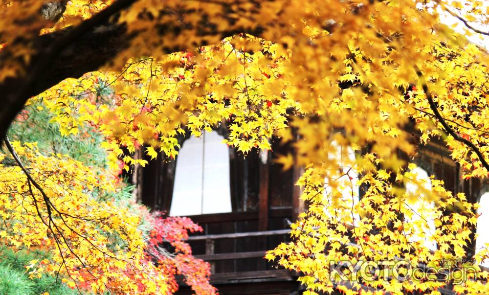 花頭窓Ⅲ＠東山慈照寺観音殿