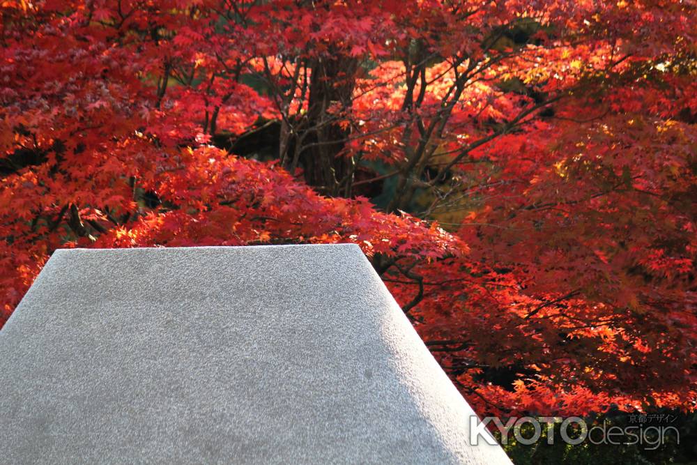 向月台Ⅳ＠東山慈照寺