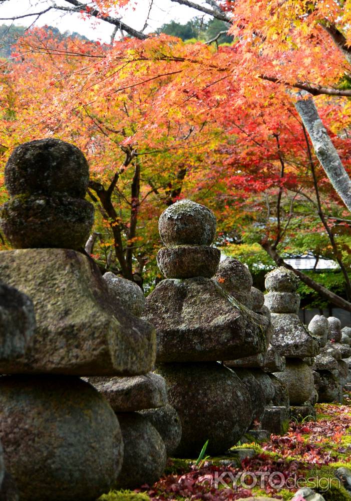 化野念仏寺紅葉2015①