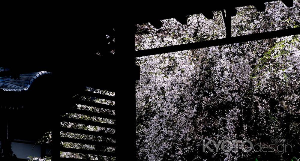 常照皇寺2015春③