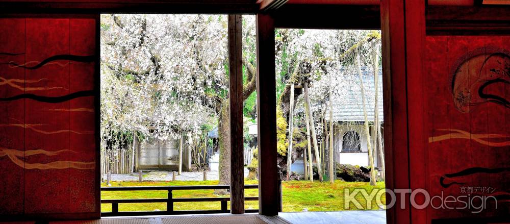 常照皇寺2015春⑧