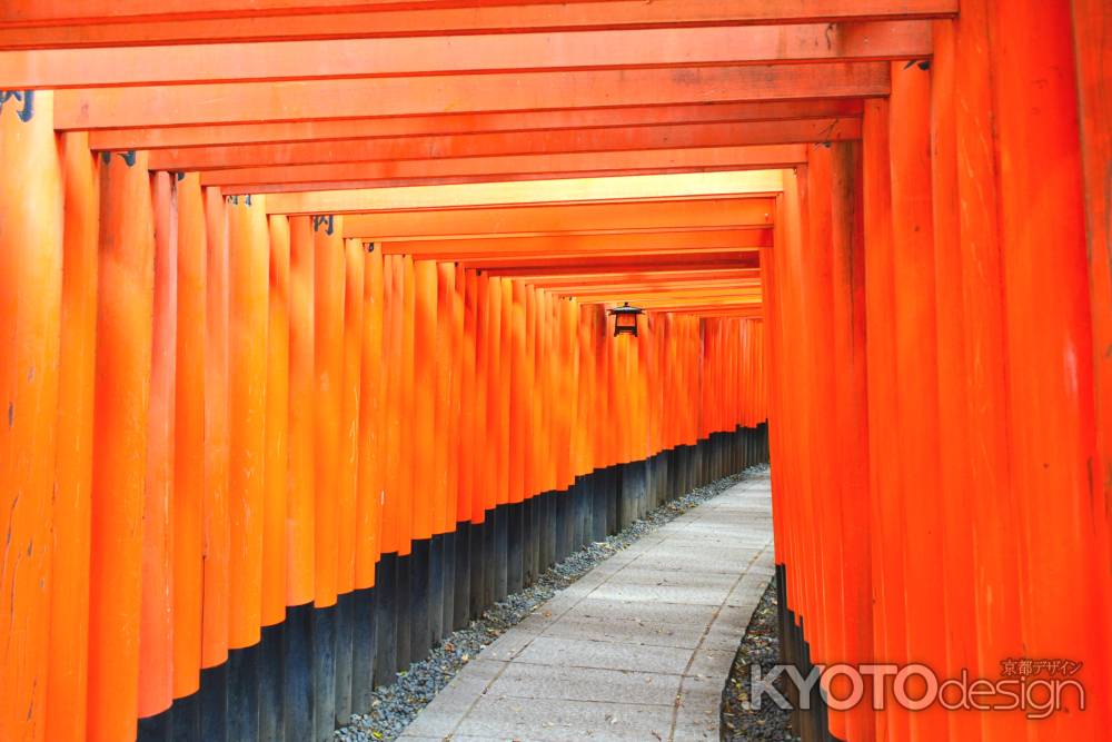 伏見稲荷2014②