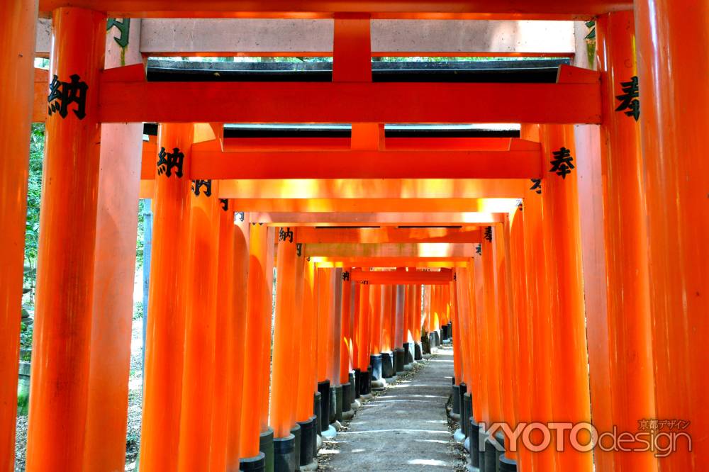 伏見稲荷2014⑨