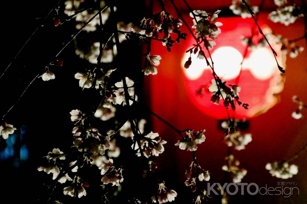 東山花灯路2016-白川南通②