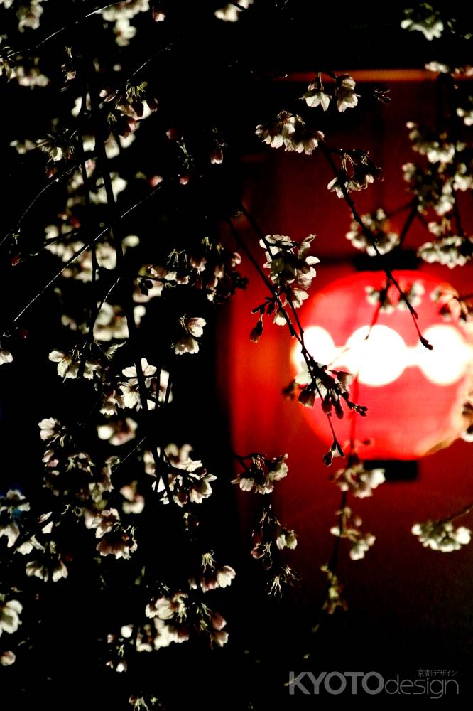 東山花灯路2016-白川南通⑤