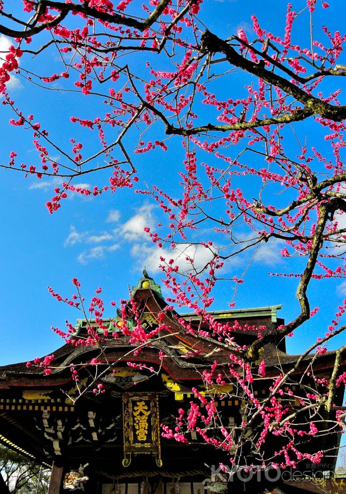 北野天満宮春2016①