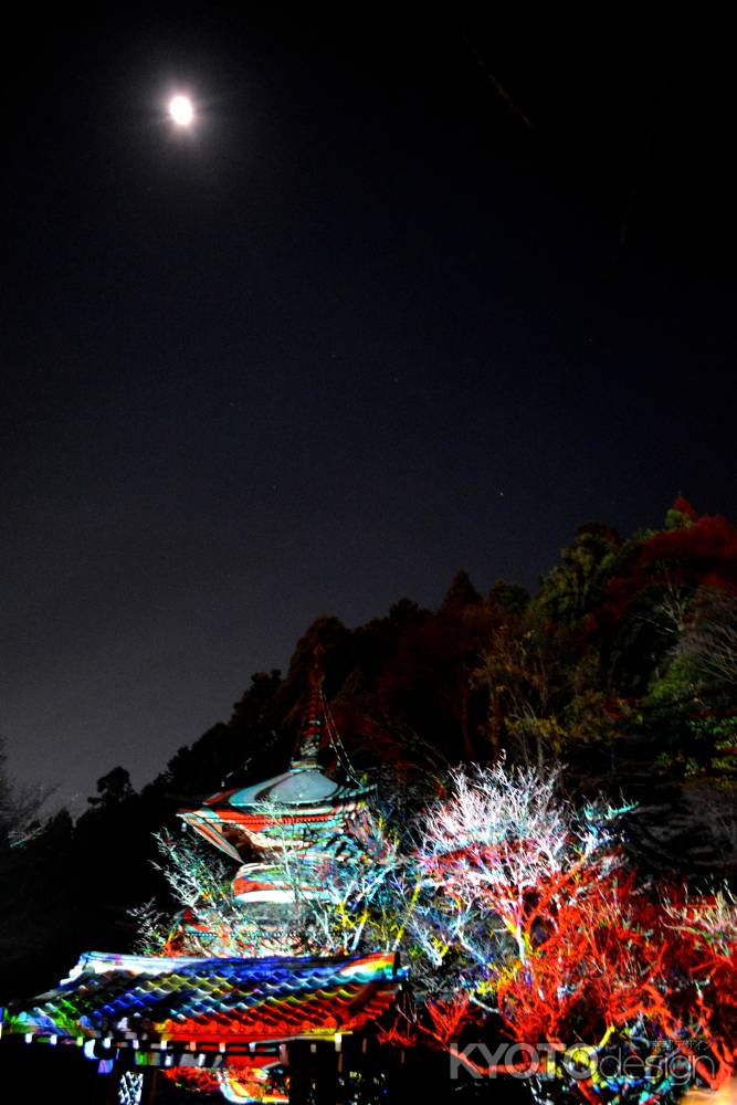 嵐山花灯路2016⑤