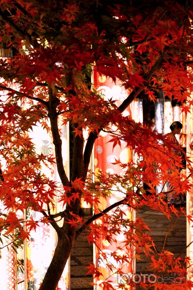 秋色フォレスト2016