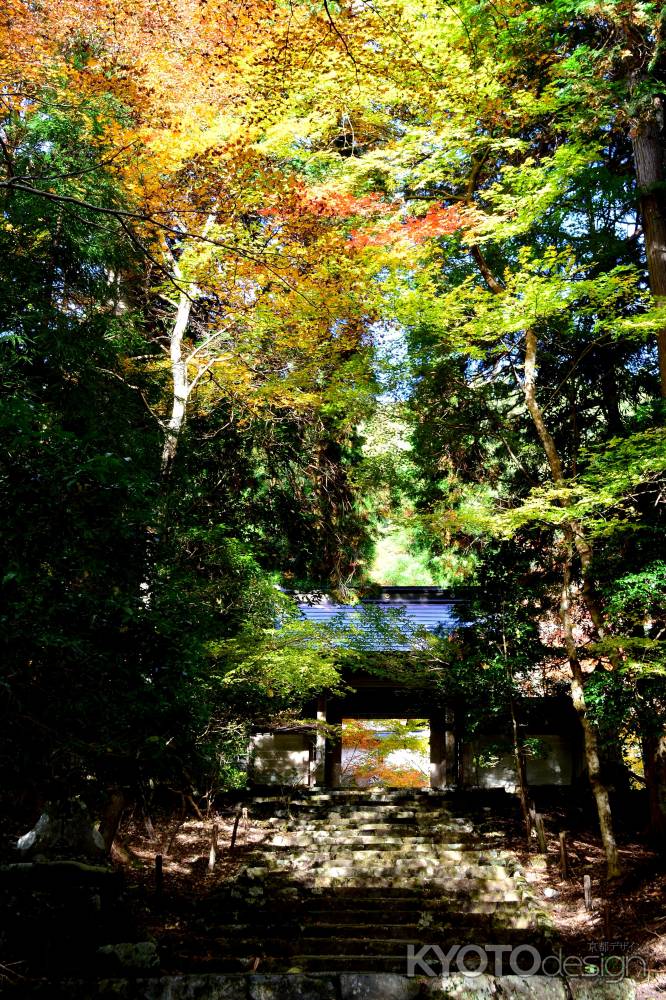 常照皇寺2016秋①