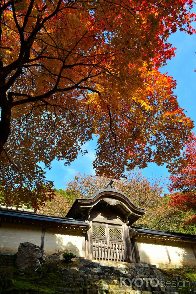 常照皇寺2016秋②