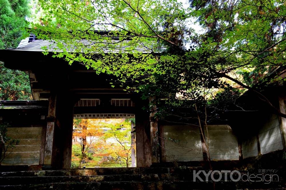 常照皇寺2016秋⑪