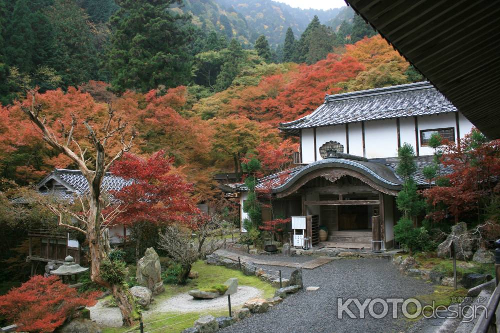 秋の古知谷阿弥陀寺