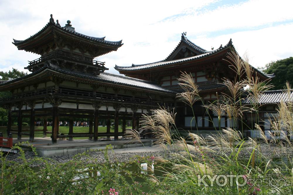 ススキと平等院