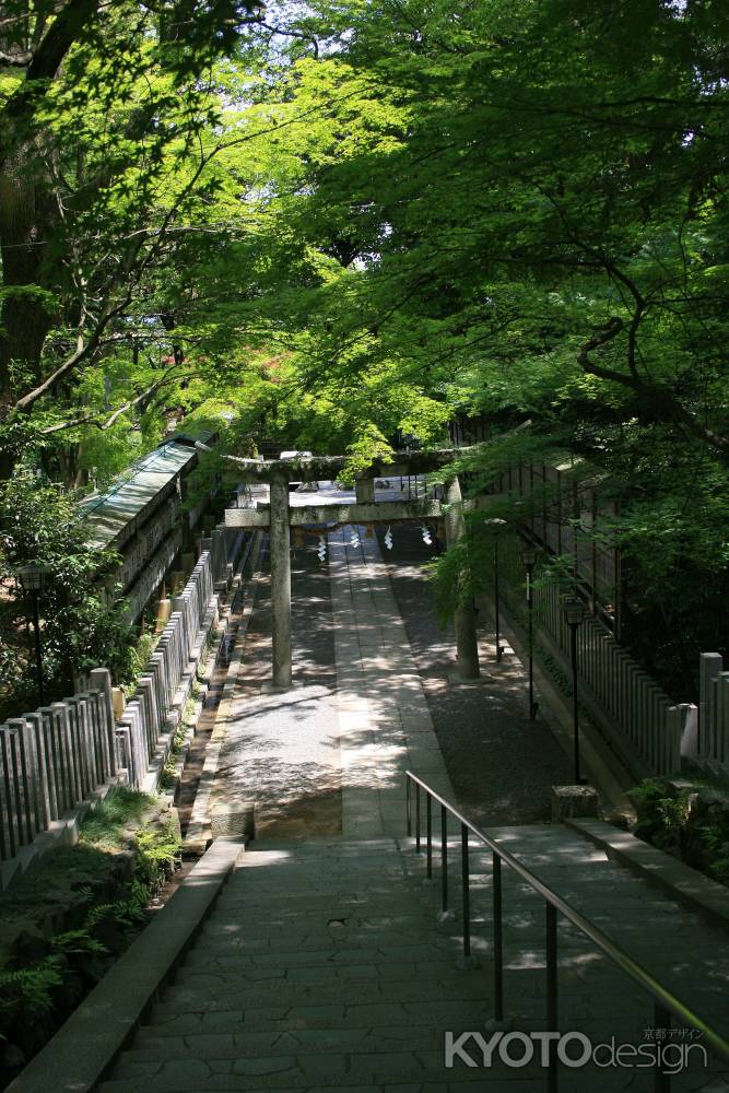 階段から見える鳥居