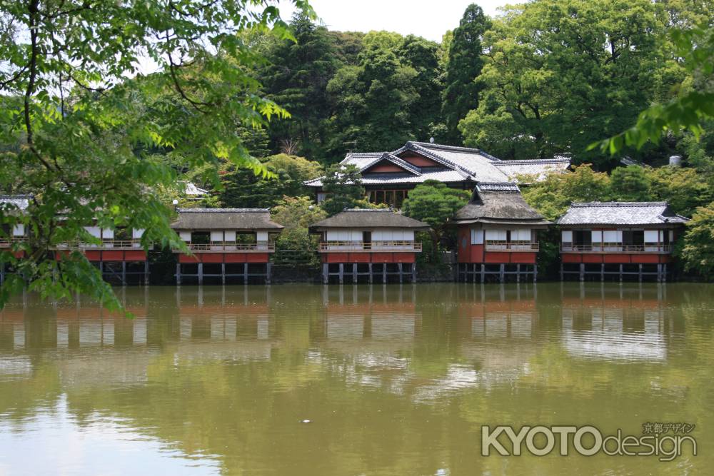 長岡天満宮　八条ヶ池