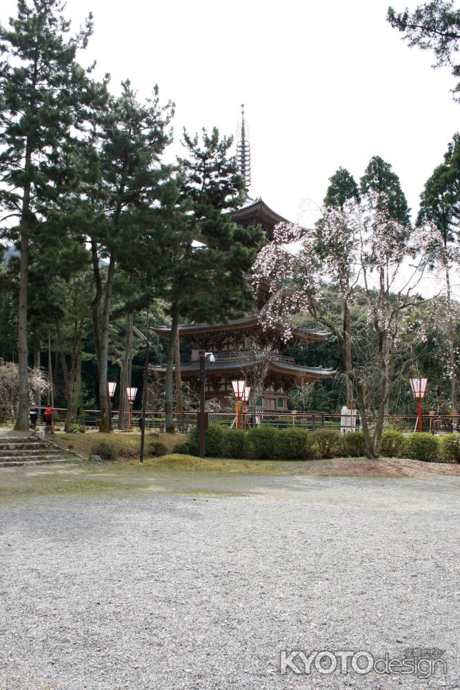 松の奥に五重塔