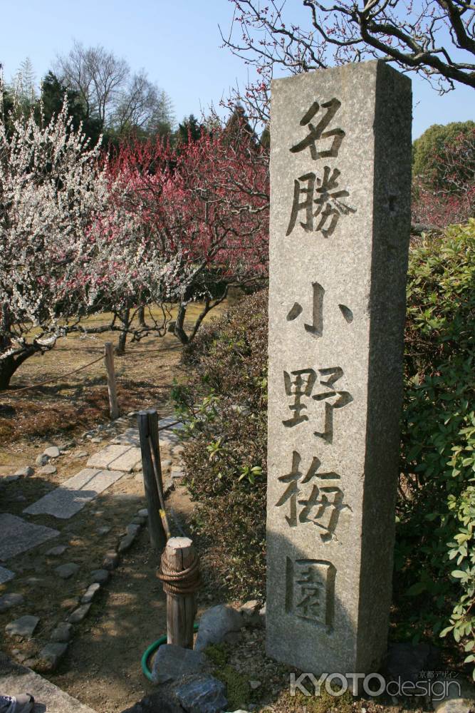 名勝　小野梅園