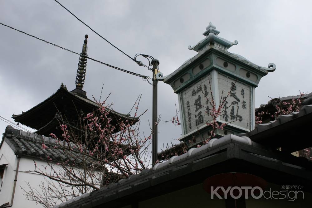法観寺の梅