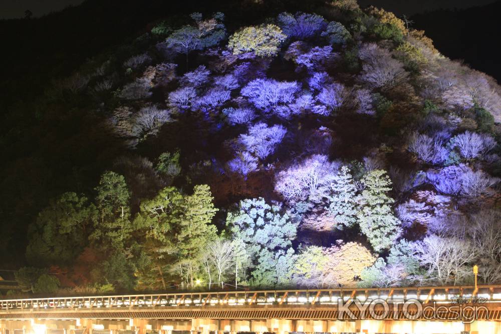 嵐山のライトアップ