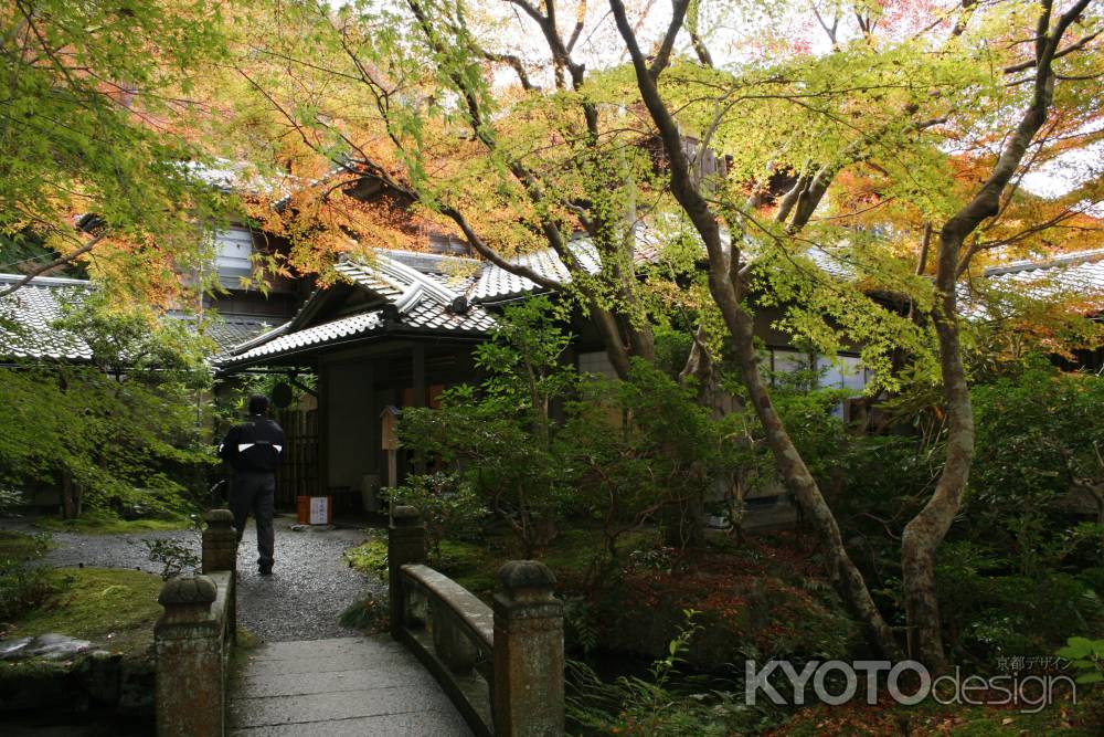 瑠璃光院　鮮やかな紅葉