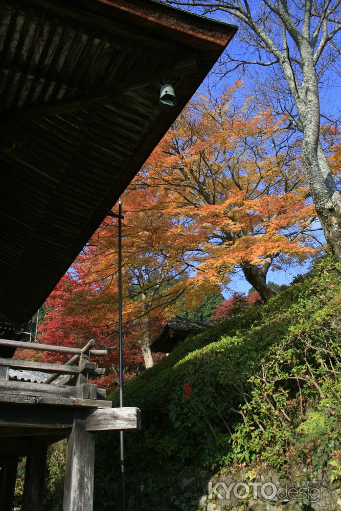 善峰寺と紅葉