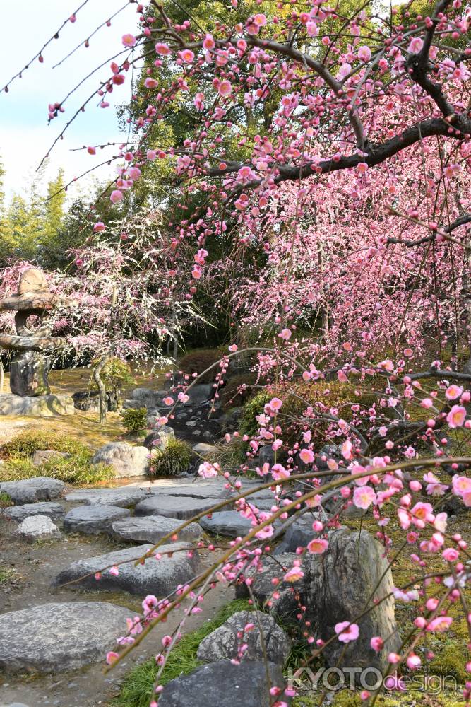 陽光に照らされて