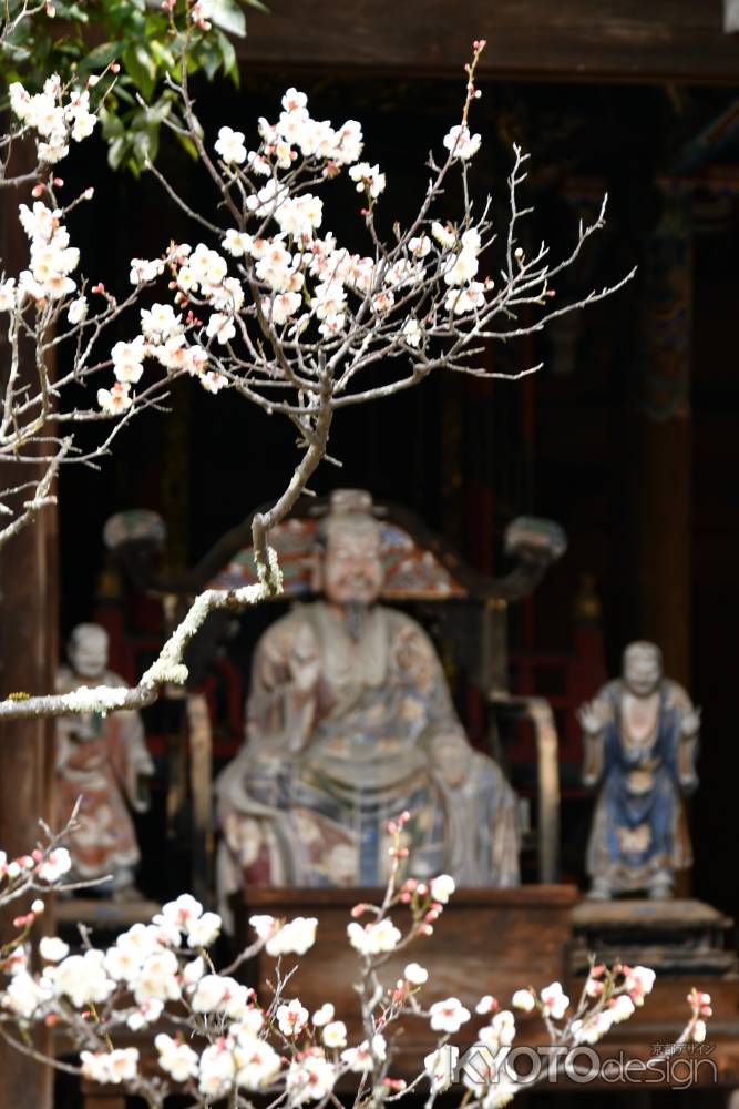 梅の香りに誘われて