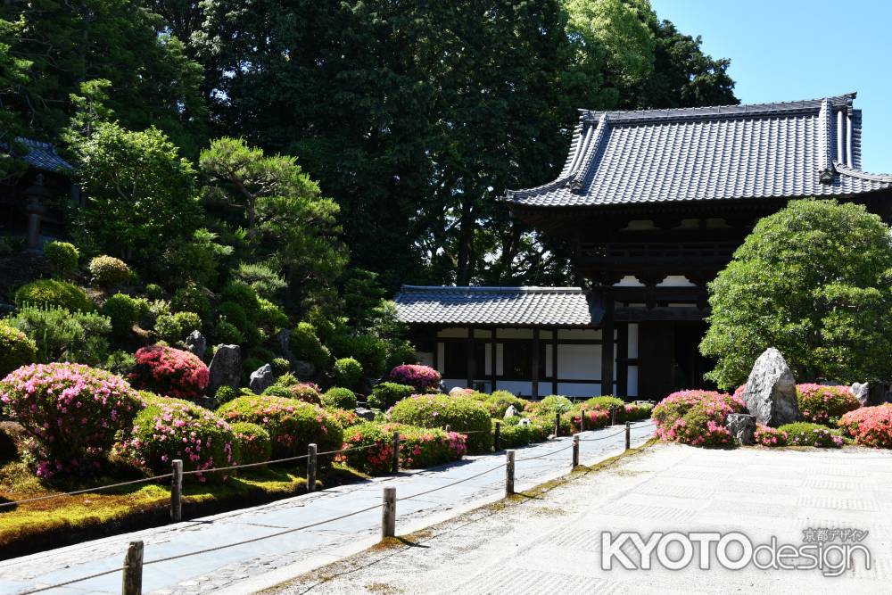 東福寺　開山堂の皐月2