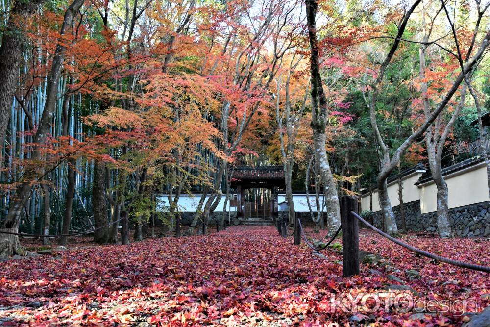 なごり紅葉の参道