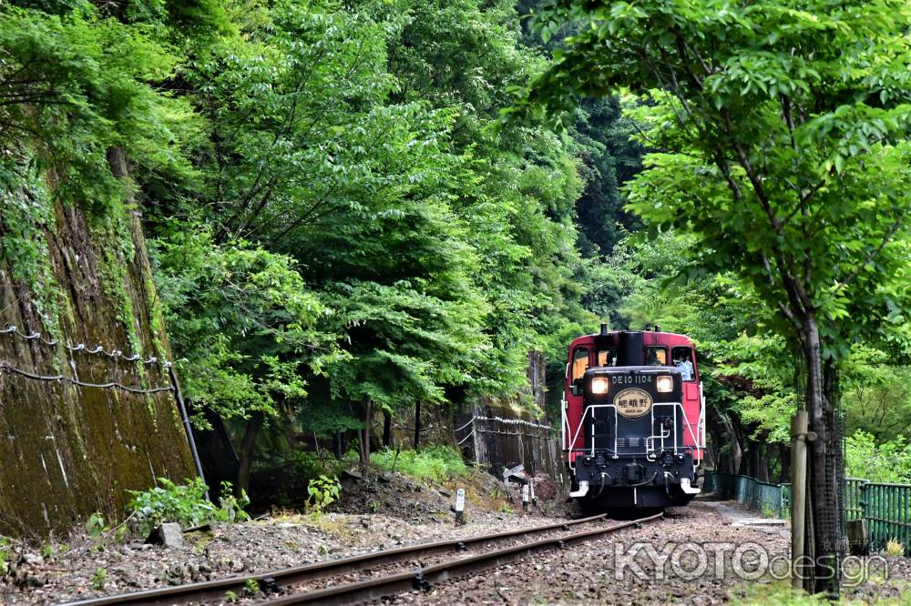 新緑のトロッコ電車