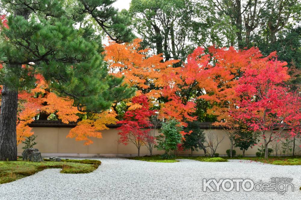 紅葉の源氏の庭