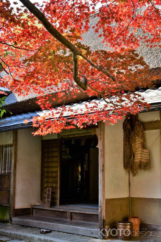 紅葉の本堂玄関