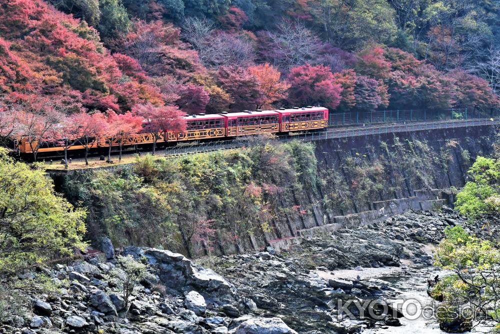 紅葉のトロッコ電車
