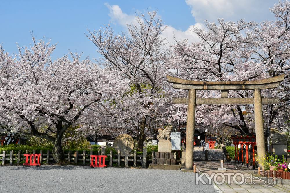 桜の六孫王神社