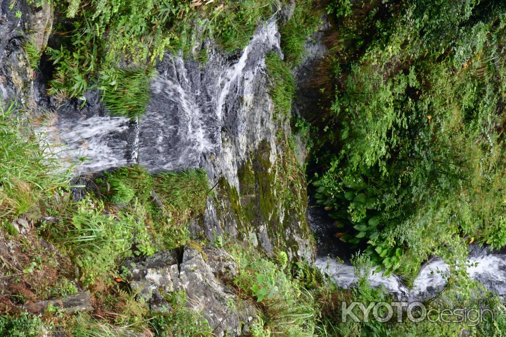 美山　蓮如の滝