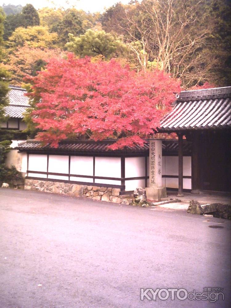 秋の天授庵外観