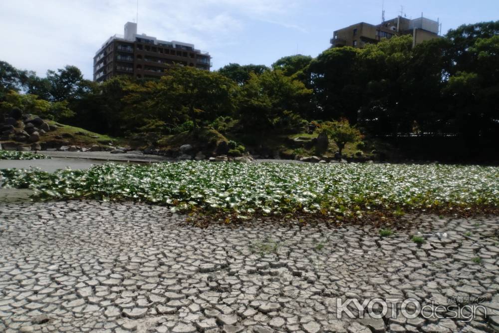 数百年に一度の空池