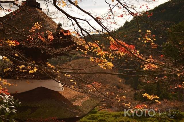 善峯寺の多宝塔