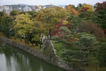 二条城のお堀の少し色づいた木々