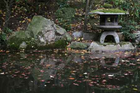 水面に浮かぶ紅葉