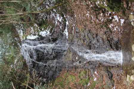 力強さより美しさ