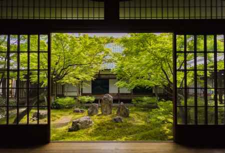 新緑の建仁寺・潮音庭