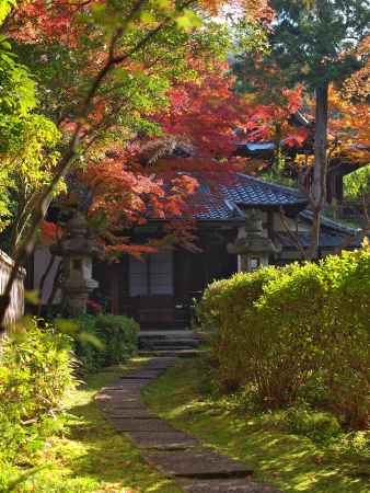 来迎院（泉涌寺塔頭）の紅葉