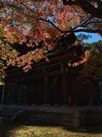 一休寺開山堂と紅葉