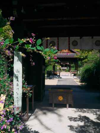 梨木神社の萩