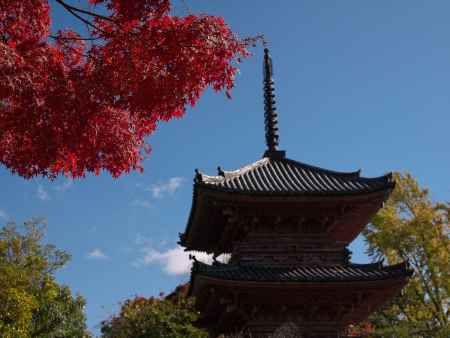 宝積寺三重塔と紅葉