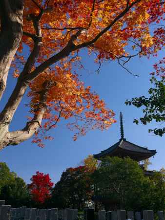 宝積寺三重塔と紅葉