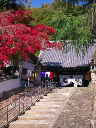 宝積寺本殿前の紅葉